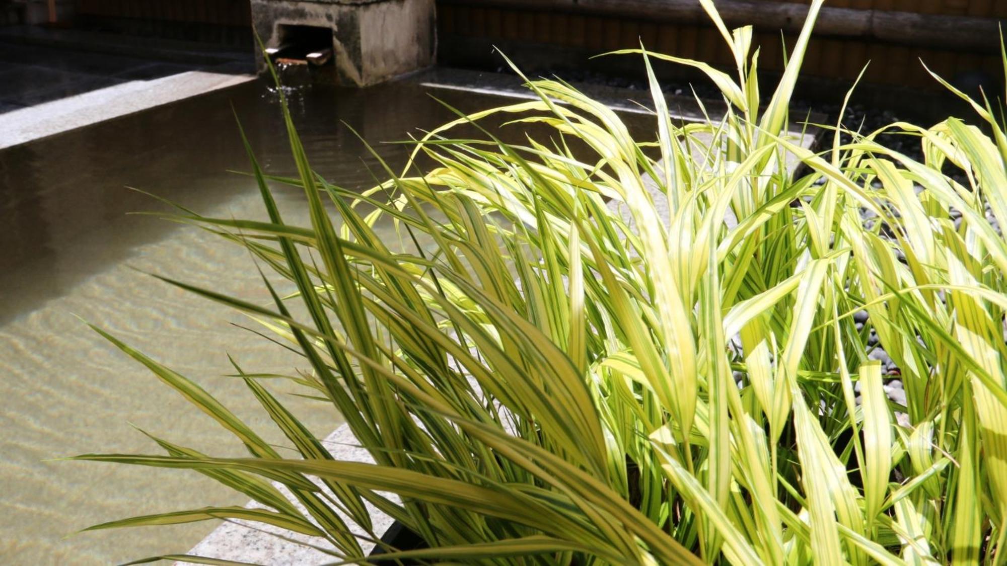 Baigetsu Ryokan Shimosuwa Εξωτερικό φωτογραφία